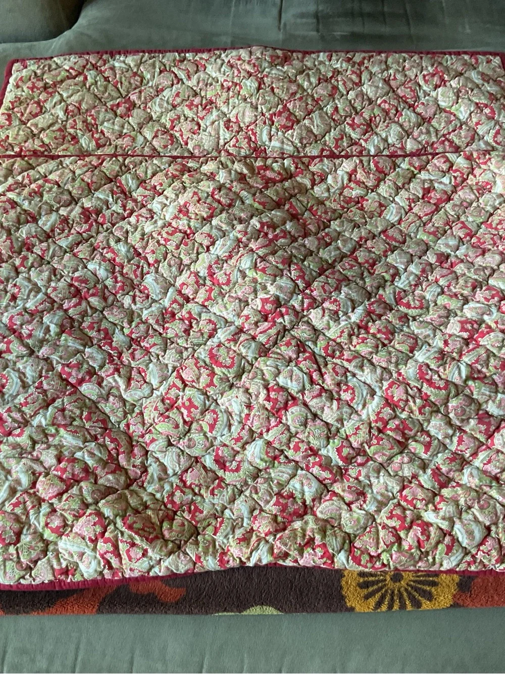 2 Pottery Barn Georgia Quilted Paisley Vintage 2005s Pillow Shams Standard